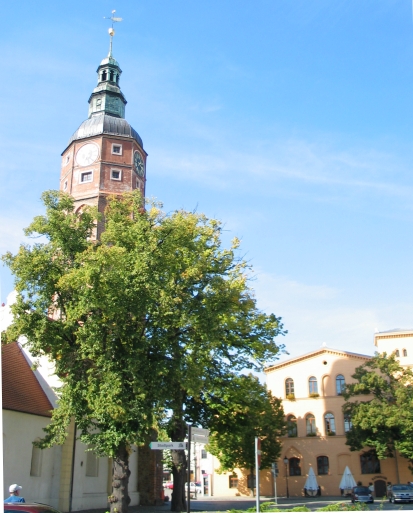 Rathaus und Hausmannturm